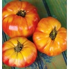 image:imageBurpee BushSteak Hybrid Red Beefsteak Slicing Tomato 40 NonGMO SeedsBig Rainbow Heirloom