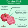 image:imageBurpee BushSteak Hybrid Red Beefsteak Slicing Tomato 40 NonGMO SeedsCaspian Pink Heirloom