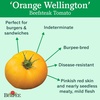 image:imageBurpee BushSteak Hybrid Red Beefsteak Slicing Tomato 40 NonGMO SeedsGerman Johnson Heirloom