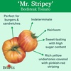 image:imageBurpee BushSteak Hybrid Red Beefsteak Slicing Tomato 40 NonGMO SeedsMr Stripy Heirloom