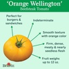 image:imageBurpee BushSteak Hybrid Red Beefsteak Slicing Tomato 40 NonGMO SeedsOrange Wellington Hybrid