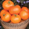 image:imageBurpee BushSteak Hybrid Red Beefsteak Slicing Tomato 40 NonGMO SeedsOrange Wellington Hybrid