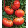 image:imageBurpee BushSteak Hybrid Red Beefsteak Slicing Tomato 40 NonGMO SeedsSteakhouse Hybrid