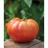 image:imageBurpee BushSteak Hybrid Red Beefsteak Slicing Tomato 40 NonGMO SeedsSteakhouse Hybrid