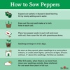 image:imageBurpee California Wonder Organic Sweet Pepper Seeds 300 seeds