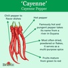 image:imageBurpee Cayenne Hot Pepper Seeds 20 seeds