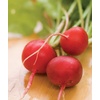 image:imageBurpee Cherry Belle Radish Seeds 1000 seedsCherry Belle Radish