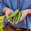 image:imageBurpee Clemson Spineless Okra Seeds  Classic HighYield Variety