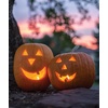 image:imageBurpee Connecticut Pumpkin Seeds 50 seedsJack O Lantern Pumpkin