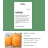 image:imageBurpee Connecticut Pumpkin Seeds 50 seedsJack O Lantern Pumpkin
