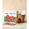 image:imageBurpee Culinary Garden Starter Kit Packets 5 Pots 5 Coir Pellets amp 5 Plant Markers NonGMO Herb Seeds Cilantro Dill Parsley Sweet Basil amp ChivesBest Tomato Starter Kit