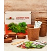image:imageBurpee Culinary Garden Starter Kit Packets 5 Pots 5 Coir Pellets amp 5 Plant Markers NonGMO Herb Seeds Cilantro Dill Parsley Sweet Basil amp ChivesHerb Starter Kit