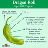 image:imageBurpee Dragon Roll Hot Pepper Seeds 25 seeds