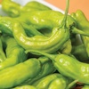 image:imageBurpee Dragon Roll Hot Pepper Seeds 25 seeds