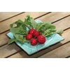 image:imageBurpee Early Scarlet Globe Radish Seeds 300 seeds