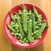 image:imageBurpee Easy Peasy Pea Seeds  21gm NonGMO Seed Packet for Home Gardening  Direct Sow Shelling Peas Seeds for Planting Vegetables Pea Easy PeasyPea  Easy Peasy