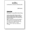image:imageBurpee Evergreen Long White Bunching Onion Seeds 2000 seedsEvergreen Long White
