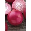 image:imageBurpee Evergreen Long White Bunching Onion Seeds 2000 seedsRed Creole