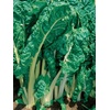 image:imageBurpee Fordhook Giant Organic Swiss Chard Seeds 350 seeds