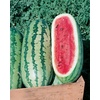 image:imageBurpee Mamas Girl Watermelon Seeds  Sweet Red Flesh Watermelon Seeds for Backyard Gardening 25 SeedsGeorgia Rattlesnake