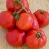image:imageBurpee Oh Happy Day Hybrid  Red Beefsteak Slicing Tomato  25 SeedsHappy Day