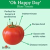image:imageBurpee Oh Happy Day Hybrid  Red Beefsteak Slicing Tomato  25 SeedsHappy Day