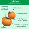 image:imageBurpee Oh Happy Day Hybrid  Red Beefsteak Slicing Tomato  25 SeedsJubliee