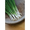 image:imageBurpee Parade Scallion Onion Seeds 1500 seeds
