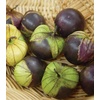 image:imageBurpee Purple Organic Tomatillo Seeds 80 seeds