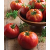 image:imageBurpee Rutgers Heirloom Slicing Tomato 125 NonGMO SeedsBig Daddy Hybrid