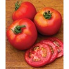 image:imageBurpee Rutgers Heirloom Slicing Tomato 125 NonGMO SeedsEarly Girl