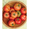 image:imageBurpee Rutgers Heirloom Slicing Tomato 125 NonGMO SeedsEarly Girl