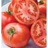 image:imageBurpee Rutgers Heirloom Slicing Tomato 125 NonGMO SeedsEarly Pick VF Hybrid