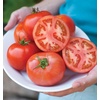 image:imageBurpee Rutgers Heirloom Slicing Tomato 125 NonGMO SeedsEarly Pick VF Hybrid