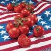 image:imageBurpee Rutgers Heirloom Slicing Tomato 125 NonGMO SeedsFourth of July Hybrid