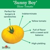 image:imageBurpee Rutgers Heirloom Slicing Tomato 125 NonGMO SeedsSunny Boy Hybrid
