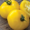 image:imageBurpee Rutgers Heirloom Slicing Tomato 125 NonGMO SeedsSunny Boy Hybrid