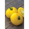 image:imageBurpee Rutgers Heirloom Slicing Tomato 125 NonGMO SeedsSunny Boy Hybrid