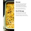 image:imageBurpee Saffron Summer Squash Seeds 100 seeds