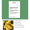 image:imageBurpee Saffron Summer Squash Seeds 100 seeds