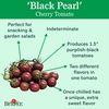 image:imageBurpee San Marzano Heirloom Paste Tomato 75 NonGMO SeedsBlack Pearl