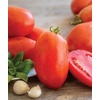 image:imageBurpee San Marzano Heirloom Paste Tomato 75 NonGMO SeedsGladiator Roma