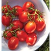 image:imageBurpee San Marzano Heirloom Paste Tomato 75 NonGMO SeedsRoma Organic