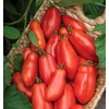 image:imageBurpee San Marzano Heirloom Paste Tomato 75 NonGMO SeedsSan Marzano Heirloom