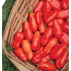 image:imageBurpee San Marzano Heirloom Paste Tomato 75 NonGMO SeedsSan Marzano Heirloom