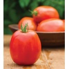 image:imageBurpee San Marzano Heirloom Paste Tomato 75 NonGMO SeedsSuper Sauce Hybrid