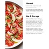 image:imageBurpee San Marzano Heirloom Paste Tomato 75 NonGMO SeedsSuper Sauce Hybrid