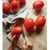 image:imageBurpee San Marzano Heirloom Paste Tomato 75 NonGMO SeedsSuper Sauce Hybrid