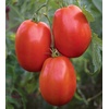 image:imageBurpee San Marzano Heirloom Paste Tomato 75 NonGMO SeedsSuper Sauce Hybrid