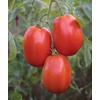 image:imageBurpee San Marzano Heirloom Paste Tomato 75 NonGMO SeedsSuper Sauce Hybrid